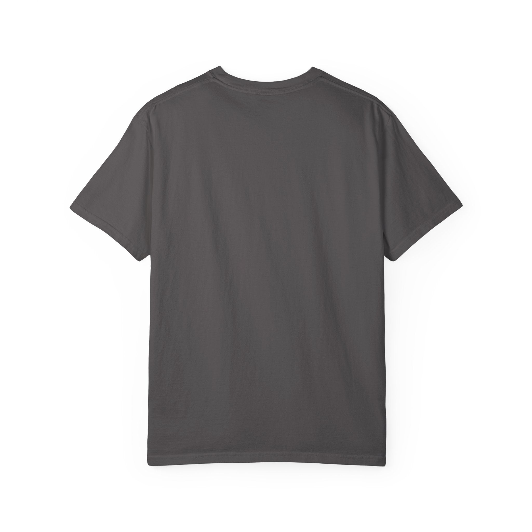 Luxury Minimalist Cat Line Art T-Shirt – Premium Black & Gold Cat Lover Tee