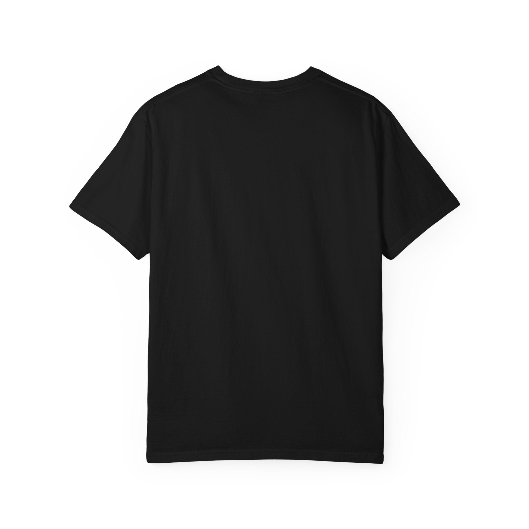 Luxury Minimalist Cat Line Art T-Shirt – Premium Black & Gold Cat Lover Tee